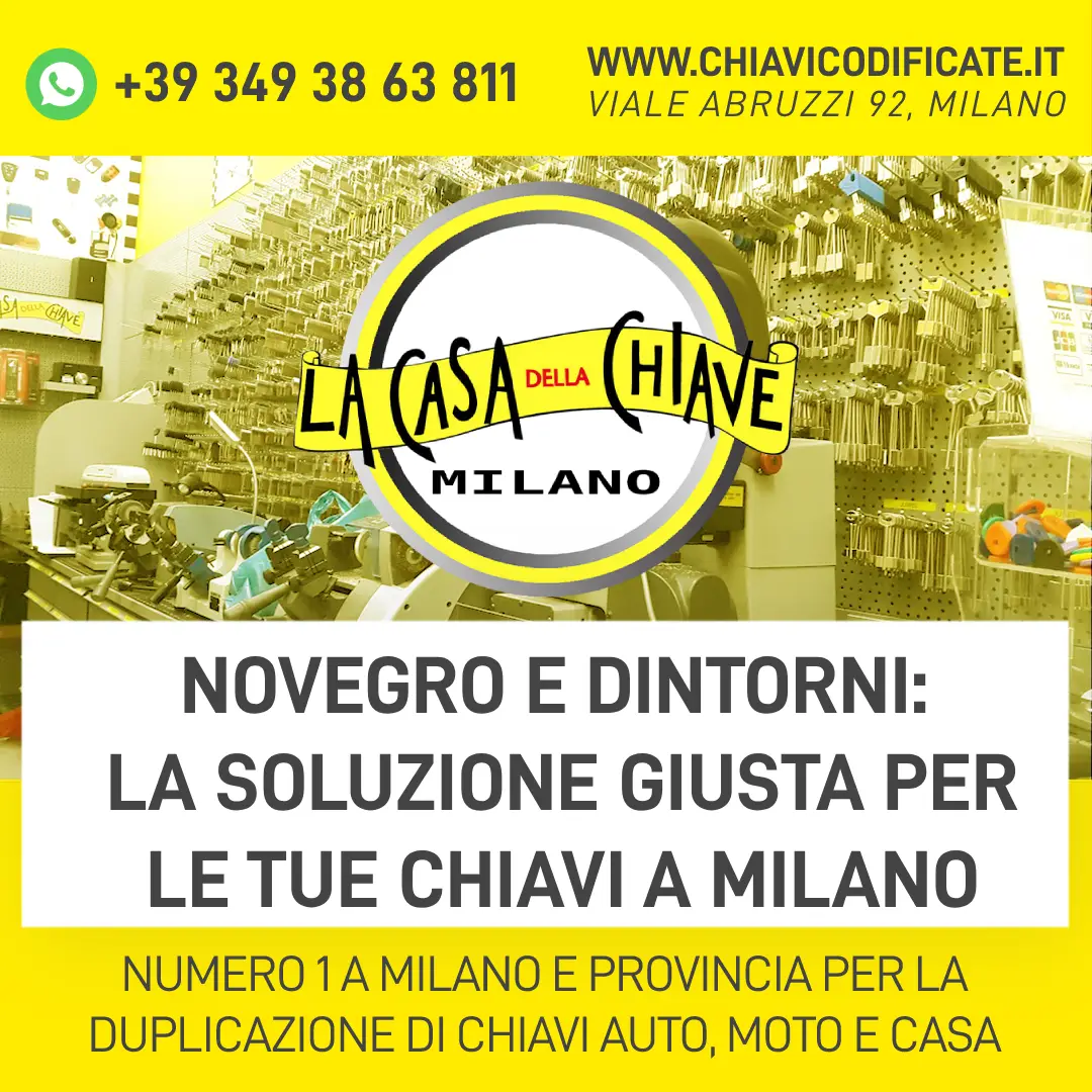 NEWIROVE Cassaforte per Chiavi Grande Cassetta Chiavi con Gancio Cassetta Sicurezza Chiavi